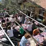 Triestini e turisti in osmiza (Lasorte)