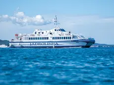 Il catamarano Silba della Jadrolinija in navigazione (foto dal sito Jadrolinija)