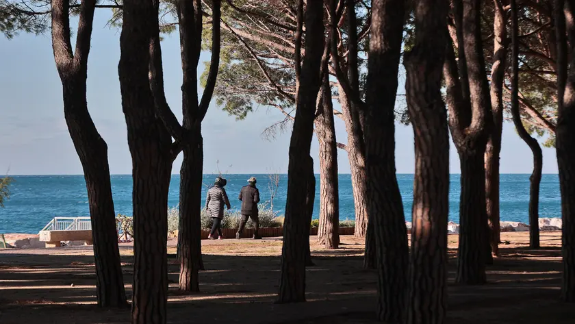 La pineta di Barcola (Lasorte)