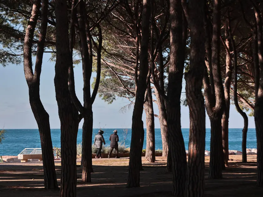 La pineta di Barcola (Lasorte)