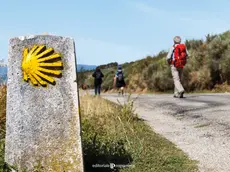 La copertina del libro