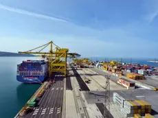 Il molo VII del porto di Trieste
