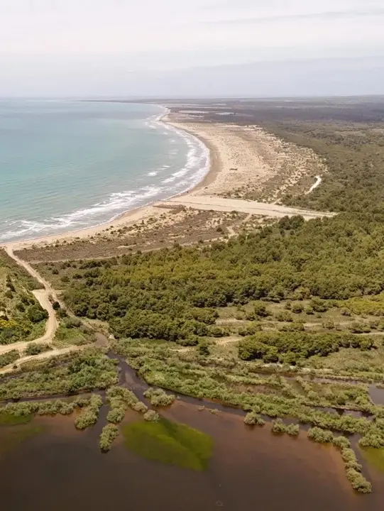 La laguna di Vjosa-Narta (foto birdlife)
