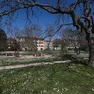 Il giardino in via dei Papaveri a Opicina. (Foto Andrea Lasorte)