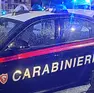 Sull'episodio stanno indagando i carabinieri di Muggia