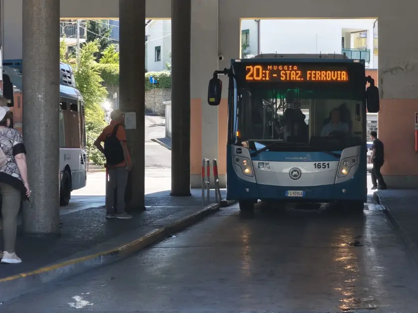 L'accoltellamento si è verificato davanti alla stazione delle corriere di Muggia
