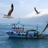 Un peschereccio in navigazione