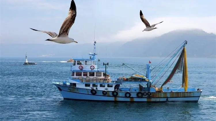 Crisi della pesca in mare aperto: cala il numero di peschere