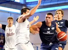 Il playmaker triestino Stefano Bossi è reduce da una stagione a Forlì