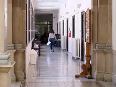 L’interno del tribunale di Trieste Foto Massimo Silvano