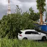 L'albero abbattuto dal vento e caduto in un parcheggio in viale Palmanova a Udine