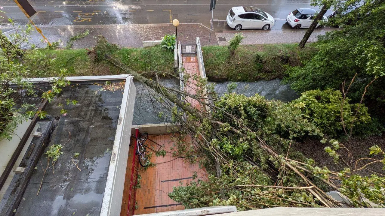 Piogge intense e forti raffiche di vento hanno spazzato diverse aree del Friuli nel pomeriggio di mercoledì 10 giugno. Particolarmente colpita la zona di Udine, attraversata da una bufera che in pochi minuti ha riversato a terra quantità d’acqua tali da causare in pochi minuti l’allagamento di numerose strade della viabilità secondaria e scantinati. Nel capoluogo friulano, dove sono state decine gli alberi abbattuti dalla furia del meteo, è crollata anche una gru all’interno dell’area di Udine Mercati.