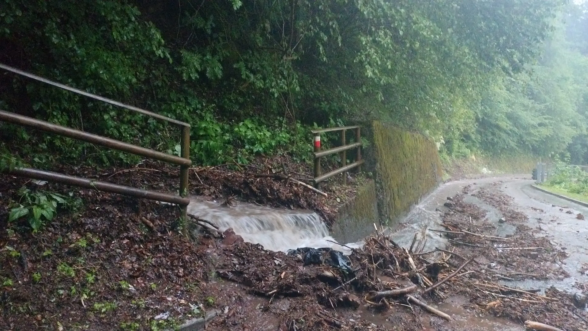 Piogge intense e forti raffiche di vento hanno spazzato diverse aree del Friuli nel pomeriggio di mercoledì 10 giugno. Particolarmente colpita la zona di Udine, attraversata da una bufera che in pochi minuti ha riversato a terra quantità d’acqua tali da causare in pochi minuti l’allagamento di numerose strade della viabilità secondaria e scantinati. Nel capoluogo friulano, dove sono state decine gli alberi abbattuti dalla furia del meteo, è crollata anche una gru all’interno dell’area di Udine Mercati.
