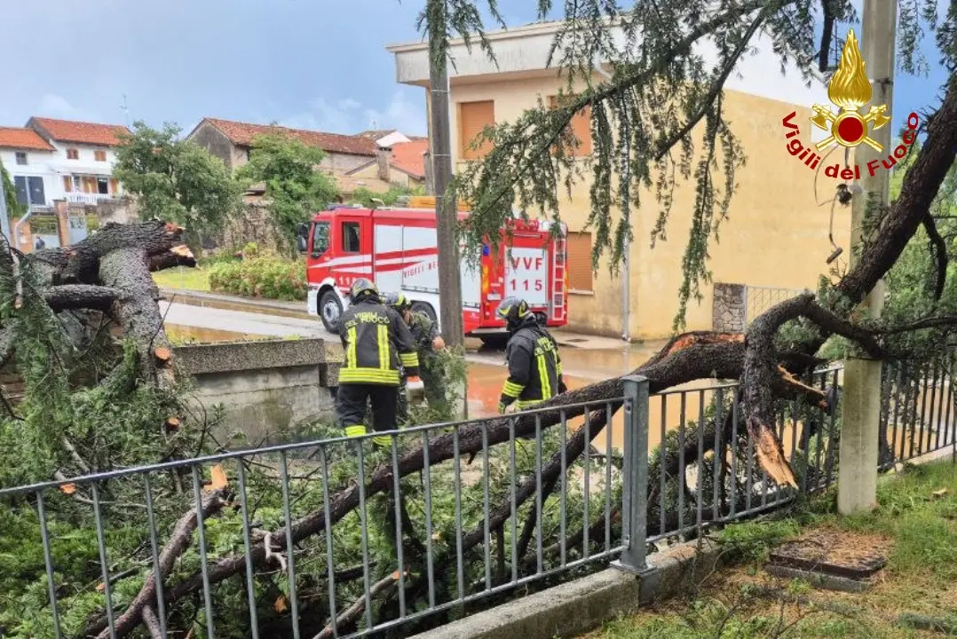 Piogge intense e forti raffiche di vento hanno spazzato diverse aree del Friuli nel pomeriggio di mercoledì 10 giugno. Particolarmente colpita la zona di Udine, attraversata da una bufera che in pochi minuti ha riversato a terra quantità d’acqua tali da causare in pochi minuti l’allagamento di numerose strade della viabilità secondaria e scantinati. Nel capoluogo friulano, dove sono state decine gli alberi abbattuti dalla furia del meteo, è crollata anche una gru all’interno dell’area di Udine Mercati.