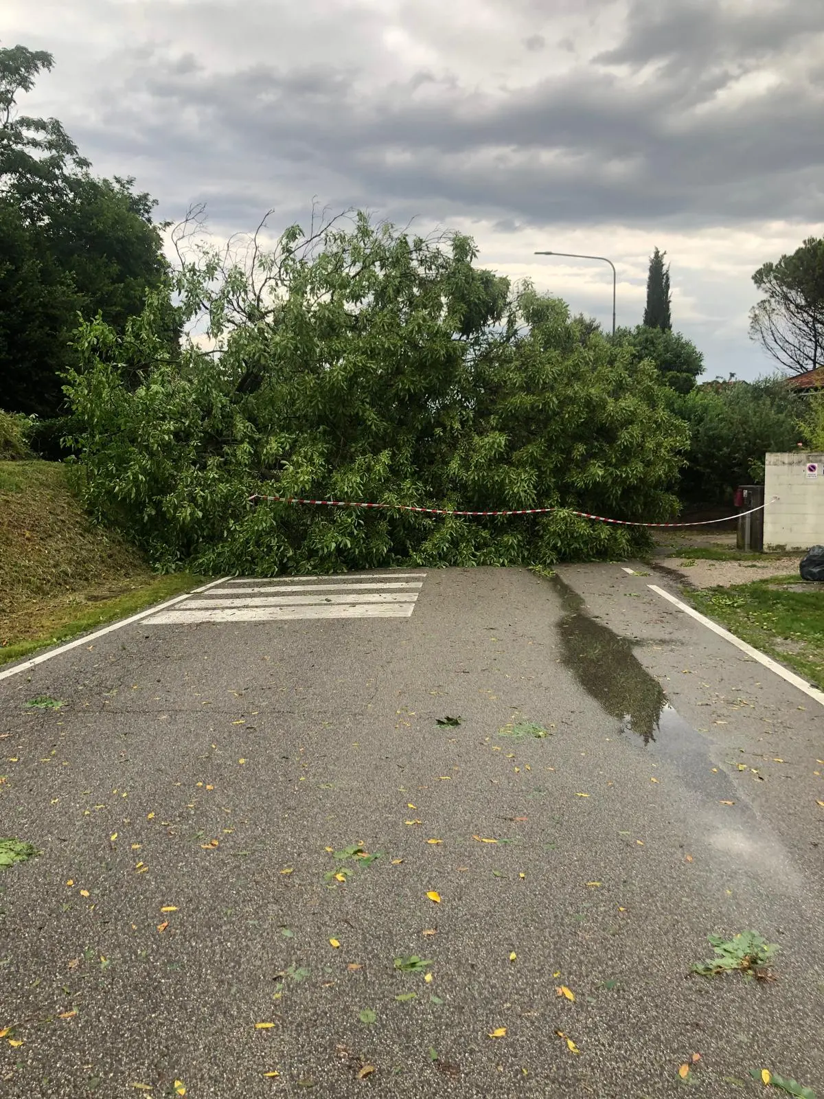 Piogge intense e forti raffiche di vento hanno spazzato diverse aree del Friuli nel pomeriggio di mercoledì 10 giugno. Particolarmente colpita la zona di Udine, attraversata da una bufera che in pochi minuti ha riversato a terra quantità d’acqua tali da causare in pochi minuti l’allagamento di numerose strade della viabilità secondaria e scantinati. Nel capoluogo friulano, dove sono state decine gli alberi abbattuti dalla furia del meteo, è crollata anche una gru all’interno dell’area di Udine Mercati.