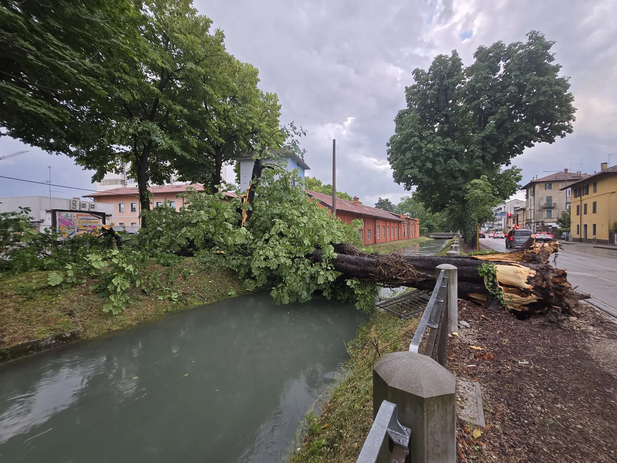 Piogge intense e forti raffiche di vento hanno spazzato diverse aree del Friuli nel pomeriggio di mercoledì 10 giugno. Particolarmente colpita la zona di Udine, attraversata da una bufera che in pochi minuti ha riversato a terra quantità d’acqua tali da causare in pochi minuti l’allagamento di numerose strade della viabilità secondaria e scantinati. Nel capoluogo friulano, dove sono state decine gli alberi abbattuti dalla furia del meteo, è crollata anche una gru all’interno dell’area di Udine Mercati.