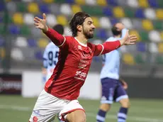 La gioia di Enrico Celeghin dopo un gol con la Triestina Foto Lasorte