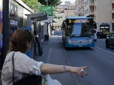 Un mezzo della linea 11