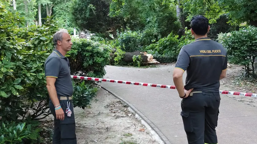 (fotoservizio Francesco Bruni)