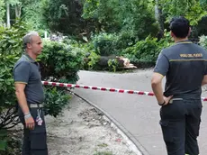 (fotoservizio Francesco Bruni)
