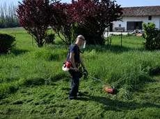 Un uomo al lavoro con il decespugliatore in giardino