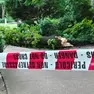 L’area interdetta e il grosso ramo caduto (foto Francesco Bruni)
