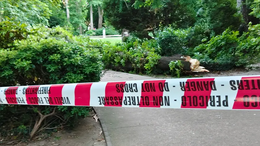 L’area interdetta e il grosso ramo caduto (foto Francesco Bruni)