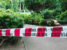 L’area interdetta e il grosso ramo caduto (foto Francesco Bruni)