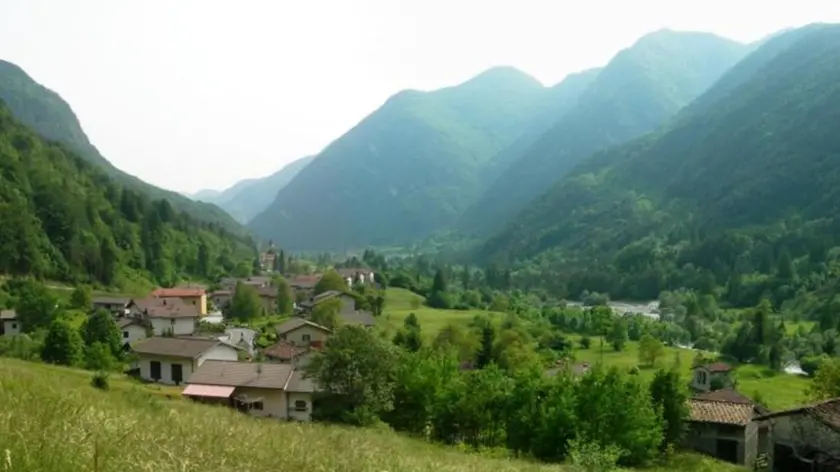 La zona dove è stato ritrovato l'orso bruno morto a Vito d'Asio