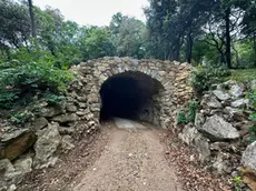 Il recupero dell’antica strada carrozzabile (fotoservizio Francesco Bruni)