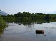 Lungo le strade battute dagli antichi pellegrini alla scoperta di piccoli compendi della natura del Friuli Venezia Giulia. In una calda giornata di metà giugno abbiamo percorso un tratto del cammino millenario, la via Romea Strata, che dal Nord est conduce a Roma. Un passo dopo l’altro, scandendo il tempo andato animato dai romani dediti ai commerci e da tutti coloro che nei secoli contribuirono a scrivere una pagina di storia. Non ultimi i soldati impegnati nel 1915-18 nella Grande guerra e tanto meno maestranze che con il loro saper fare costruirono il ponte sul Tagliamento, il grande fiume naturale, che collega la nostra regione al Veneto.