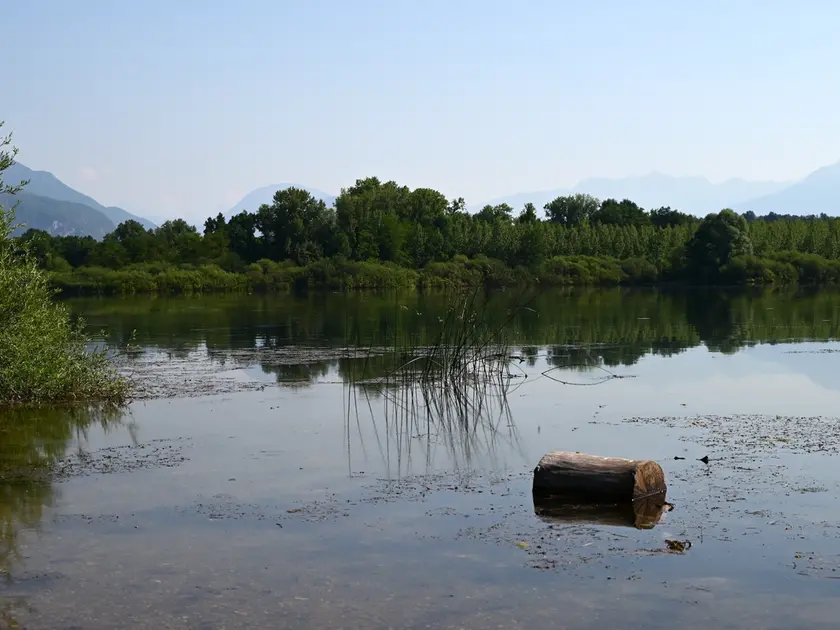 Lungo le strade battute dagli antichi pellegrini alla scoperta di piccoli compendi della natura del Friuli Venezia Giulia. In una calda giornata di metà giugno abbiamo percorso un tratto del cammino millenario, la via Romea Strata, che dal Nord est conduce a Roma. Un passo dopo l’altro, scandendo il tempo andato animato dai romani dediti ai commerci e da tutti coloro che nei secoli contribuirono a scrivere una pagina di storia. Non ultimi i soldati impegnati nel 1915-18 nella Grande guerra e tanto meno maestranze che con il loro saper fare costruirono il ponte sul Tagliamento, il grande fiume naturale, che collega la nostra regione al Veneto.