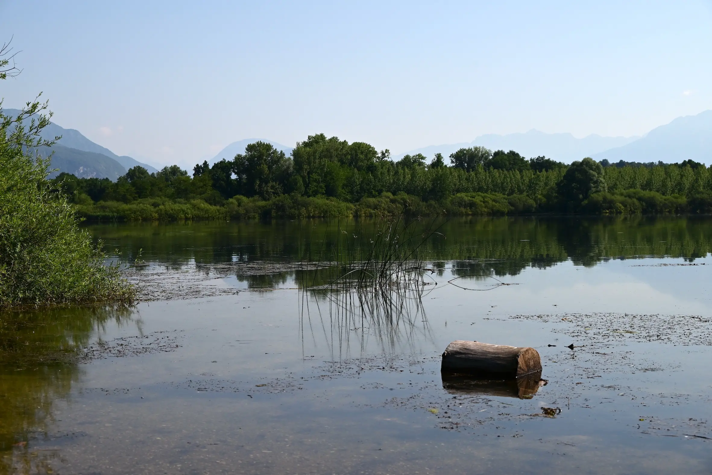 Lungo le strade battute dagli antichi pellegrini alla scoperta di piccoli compendi della natura del Friuli Venezia Giulia. In una calda giornata di metà giugno abbiamo percorso un tratto del cammino millenario, la via Romea Strata, che dal Nord est conduce a Roma. Un passo dopo l’altro, scandendo il tempo andato animato dai romani dediti ai commerci e da tutti coloro che nei secoli contribuirono a scrivere una pagina di storia. Non ultimi i soldati impegnati nel 1915-18 nella Grande guerra e tanto meno maestranze che con il loro saper fare costruirono il ponte sul Tagliamento, il grande fiume naturale, che collega la nostra regione al Veneto.