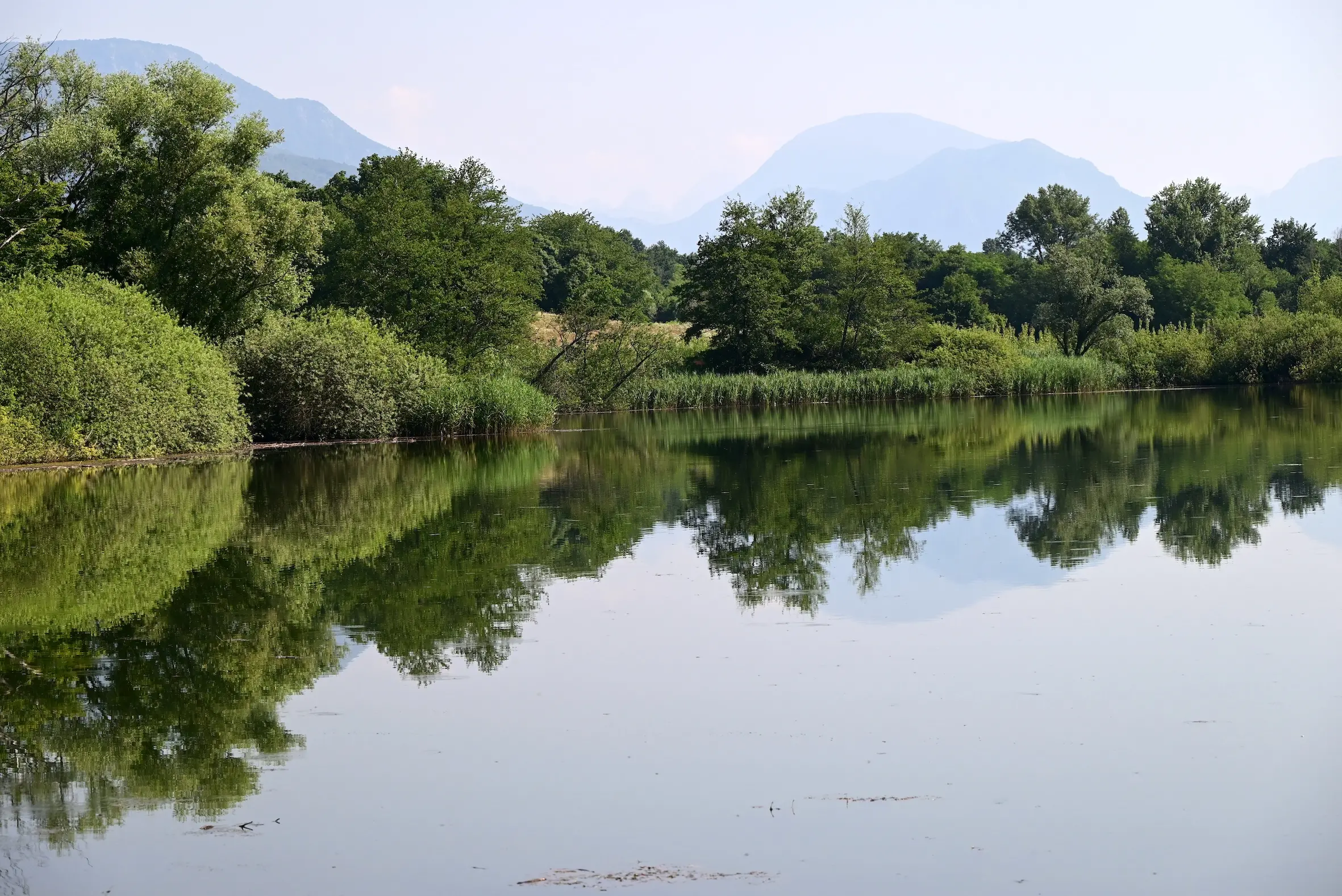 Lungo le strade battute dagli antichi pellegrini alla scoperta di piccoli compendi della natura del Friuli Venezia Giulia. In una calda giornata di metà giugno abbiamo percorso un tratto del cammino millenario, la via Romea Strata, che dal Nord est conduce a Roma. Un passo dopo l’altro, scandendo il tempo andato animato dai romani dediti ai commerci e da tutti coloro che nei secoli contribuirono a scrivere una pagina di storia. Non ultimi i soldati impegnati nel 1915-18 nella Grande guerra e tanto meno maestranze che con il loro saper fare costruirono il ponte sul Tagliamento, il grande fiume naturale, che collega la nostra regione al Veneto.