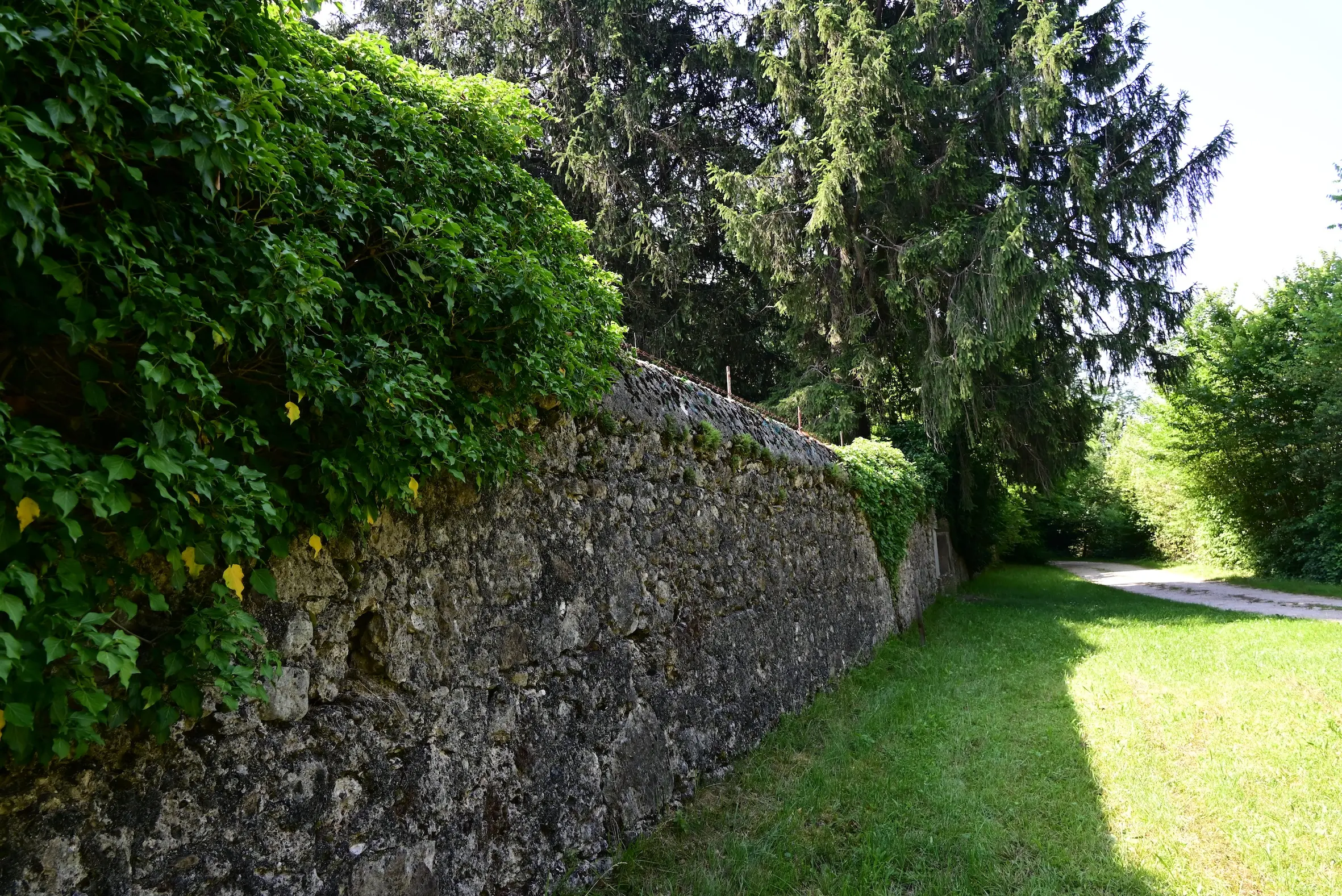 Lungo le strade battute dagli antichi pellegrini alla scoperta di piccoli compendi della natura del Friuli Venezia Giulia. In una calda giornata di metà giugno abbiamo percorso un tratto del cammino millenario, la via Romea Strata, che dal Nord est conduce a Roma. Un passo dopo l’altro, scandendo il tempo andato animato dai romani dediti ai commerci e da tutti coloro che nei secoli contribuirono a scrivere una pagina di storia. Non ultimi i soldati impegnati nel 1915-18 nella Grande guerra e tanto meno maestranze che con il loro saper fare costruirono il ponte sul Tagliamento, il grande fiume naturale, che collega la nostra regione al Veneto.