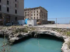 Lo scavo nei pressi del Molo IV (fotoservizio Massimo Silvano)