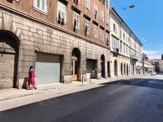 Via Udine, all'altezza del civico 118 dov'è avvenuto l'incidente. Foto di Francesco Bruni