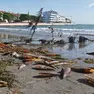 I resti di “pinne nobilis” depositati dal mare durante una morìa degli anni scorsi