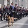 Il cane Conan della Polizia locale con il suo istruttore (foto Silvano)