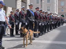 Il cane Conan della Polizia locale con il suo istruttore (foto Silvano)