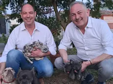 Loris Bazzo e Alessandro Basso