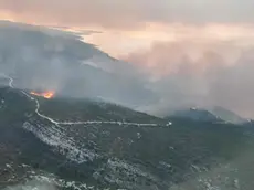 Il rogo di Comisa a Lissa (foto del corpo dei Vigili del fuoco croati)