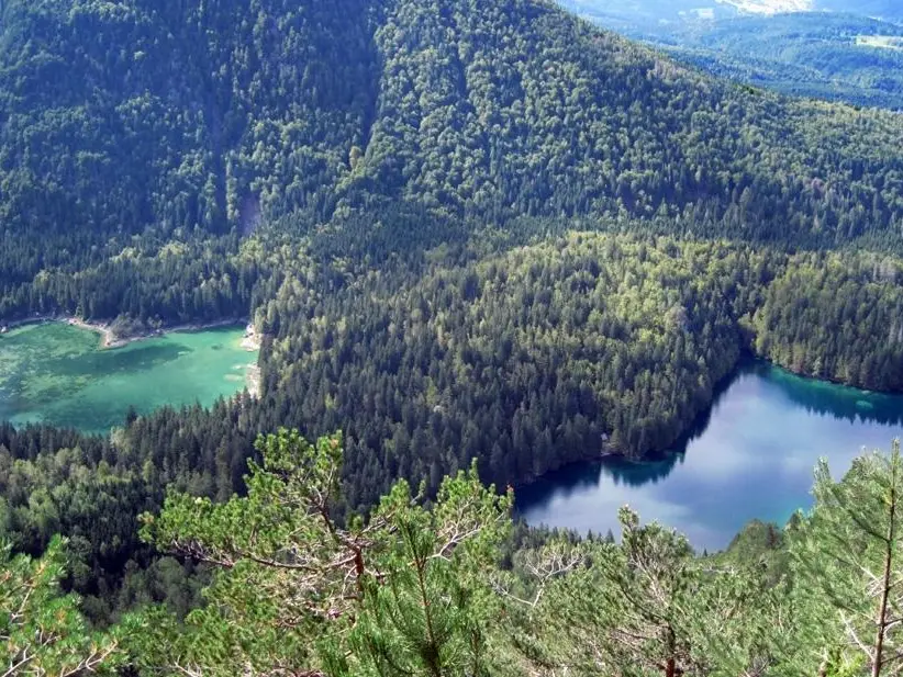 L'area dei Laghi di Fusine