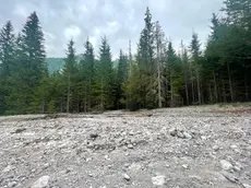L'area in cui sono stati rinvenuti i corpi