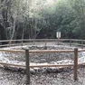 Una delle jazere che un tempo punteggiavano il Carso