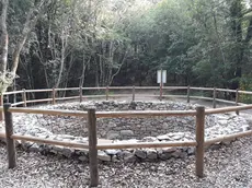 Una delle jazere che un tempo punteggiavano il Carso