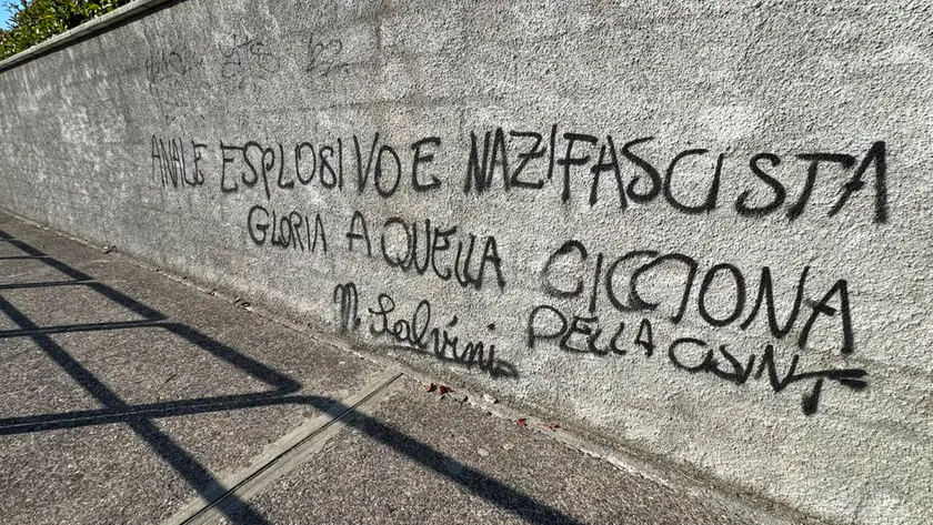 A Ronchi insulti e scritte d’odio contro l’europarlamentare della Lega Cisint