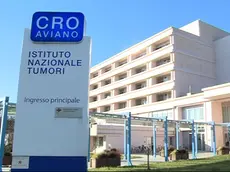 L’ingresso del Cro di Aviano