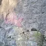 La vernice è penetrata nella pietra porosa della Val Rosandra