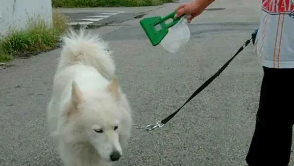 A spasso con il cane muniti di paletta raccogli-deiezioni
